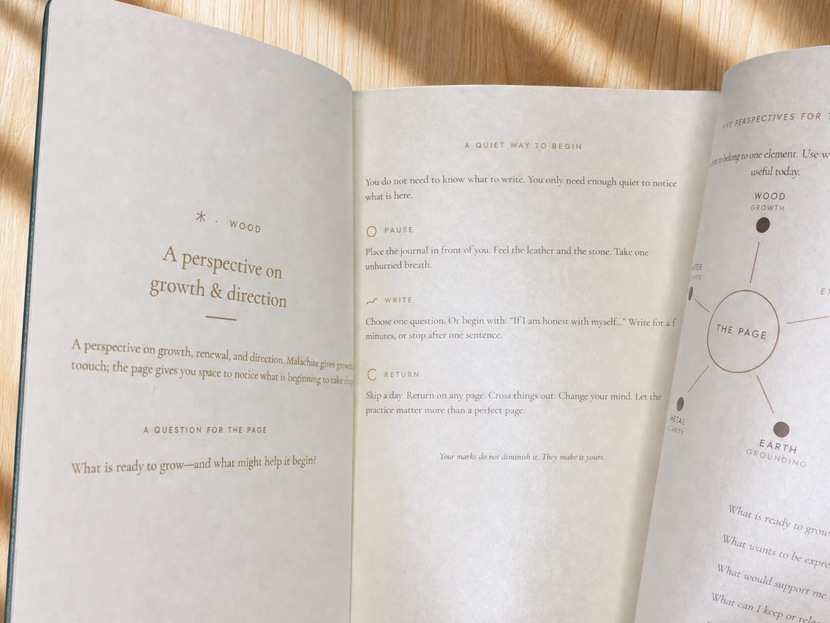 Pause, Write, Return foldout guide included with The Verdant Journal